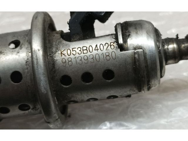 Форсунка 9813930180    Peugeot 2008 I  YH01 