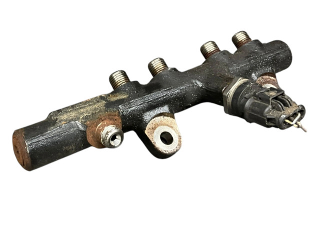 Vstřikovací lišta 175215346R, H8201157327 Renault Clio IV