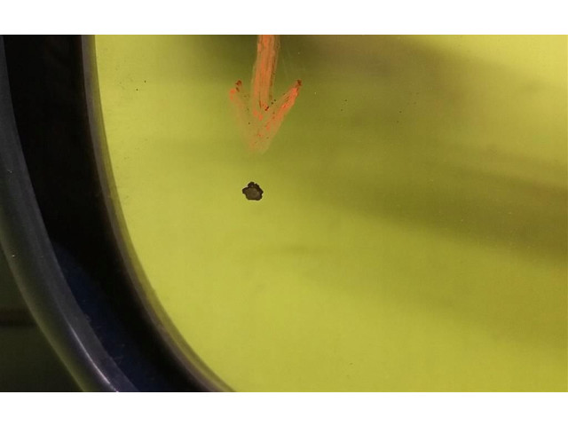 Зеркало электрическое        Honda Accord  1999 - 2002 года   