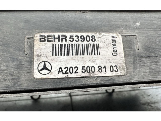 Подушка безопасности пассажира A2025008103, A2025008103 Mercedes-Benz CLK A208 C208