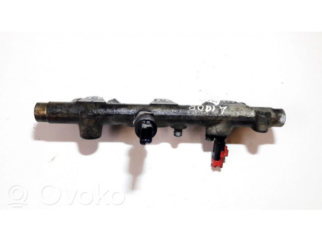 Vstřikovací lišta 0445214010 Citroen Xsara pro naftový motor 2.0