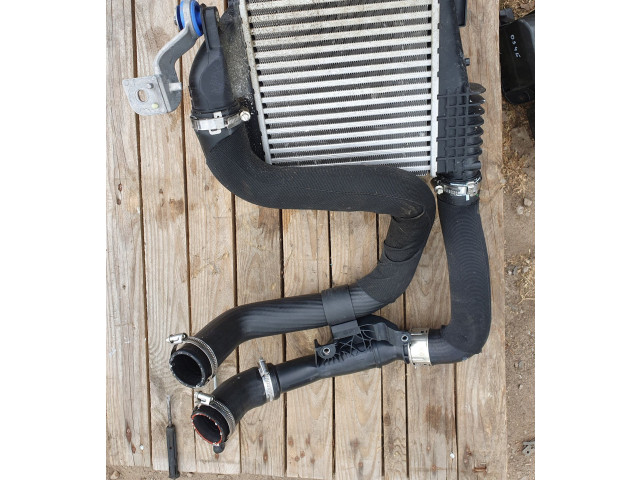 Интеркулер     Citroen DS4 