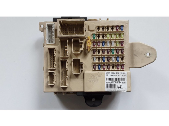 Блок комфорта 97RA012341, 954002P964 KIA Sorento