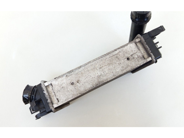 Интеркулер  144965154R, 14461B680A   Dacia Sandero 