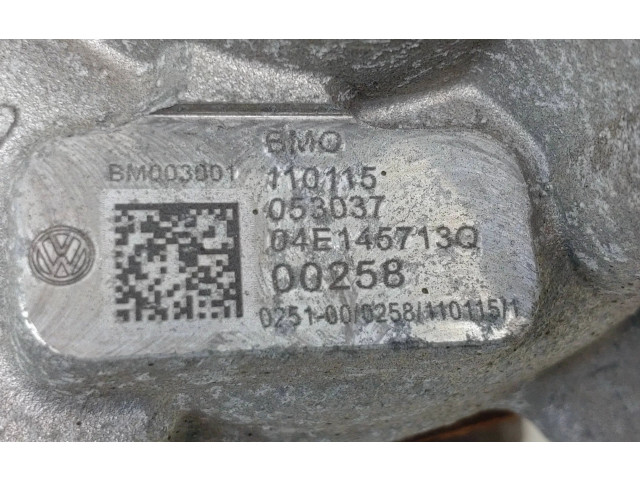  Турбина Skoda Fabia Mk3 (NJ)  04E145713Q, 04E145725AB   для двигателя CJZD      