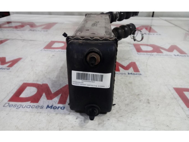 Панель приборов PEGATINABORRADA   Peugeot Expert       