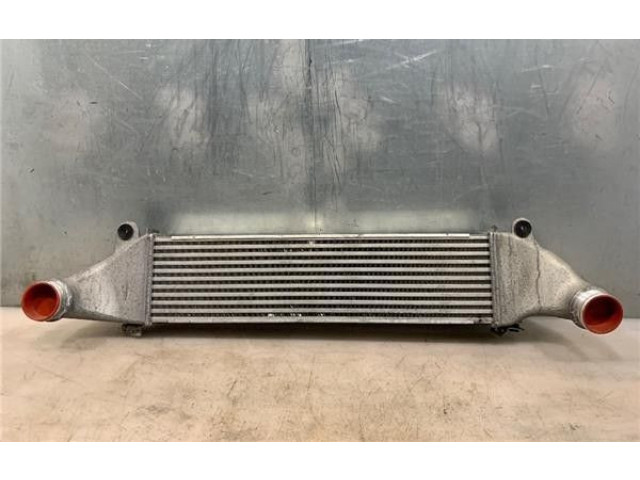 Интеркулер  8V0145803A, DIT02029   Audi RS3 