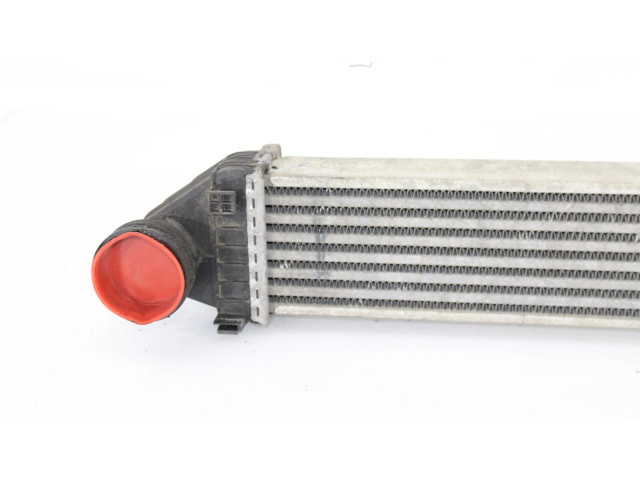 Интеркулер  A1695000000   Mercedes-Benz A W169 