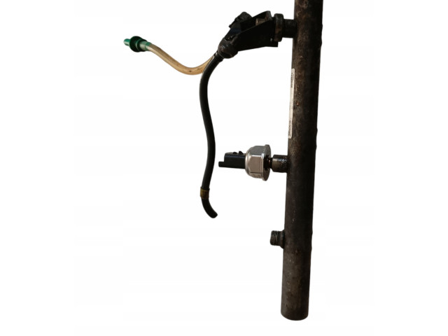 Vstřikovací lišta 9640387980, 6PH1001 Citroen Berlingo