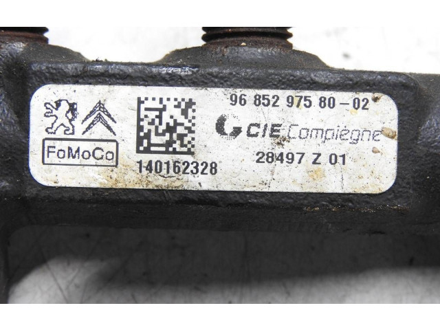 Топливная рампа 9685297580, 140162328   Citroen C4 II Picasso  