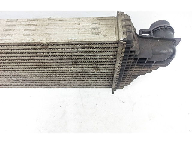 Интеркулер     Mercedes-Benz R W251 