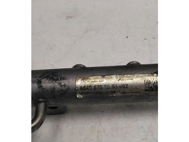 Топливная рампа A6400702595 Mercedes-Benz A W169