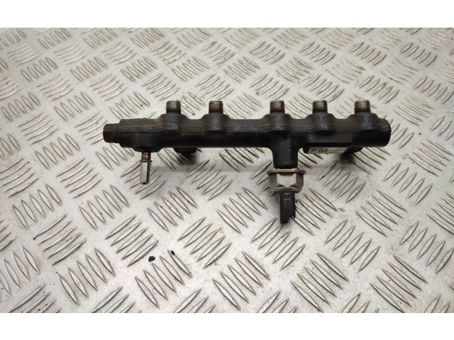 Комплект системы впрыска топлива 9674300080, 9674984080    Ford Kuga II  xrmc 