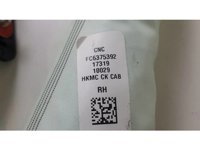 Надувная подушка для крыши