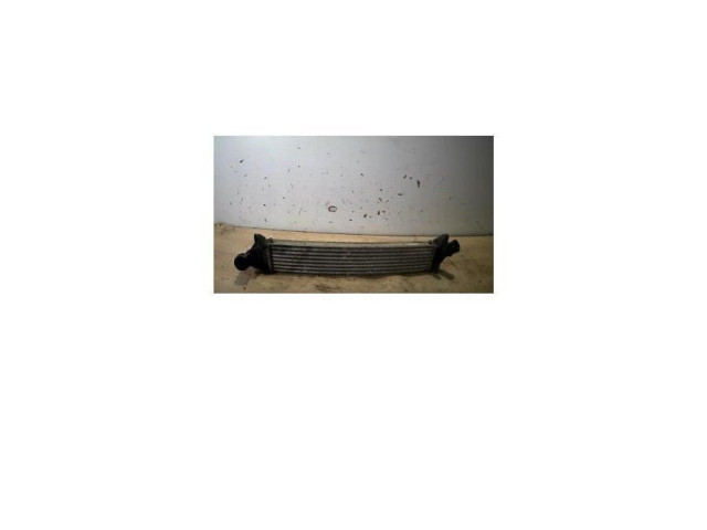 Интеркулер 8200409045, 8200409045 Dacia Logan I