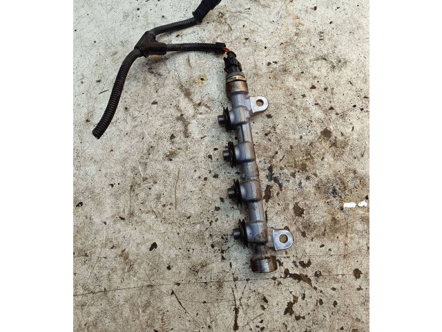 Топливная рампа 8201004395A, H8200880547 Infiniti EX для двигателя V9X