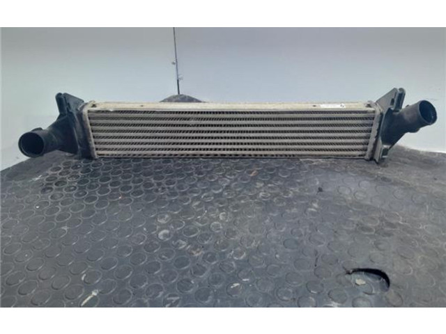 Интеркулер 8200409045 Dacia Logan I