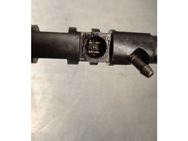 Форсунка 28280576, 0895AF06V51 Tata Indica Vista I D475 1DT 14