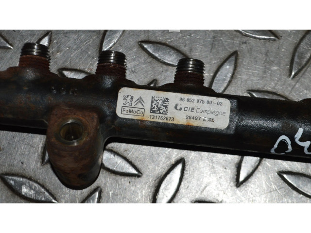 Vstřikovací lišta 9685297580, 9670076780 Ford Fiesta