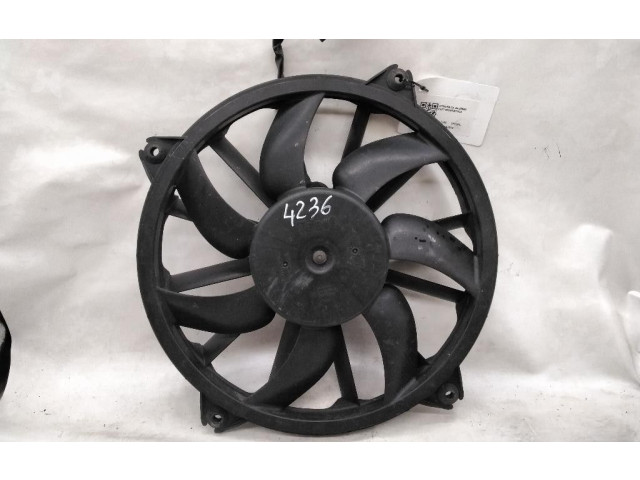 Вентилятор радиатора     DV6ATED4    Citroen C4 I 