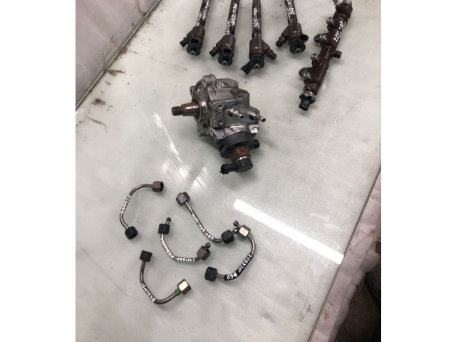 Комплект системы впрыска топлива 9828959880, 98213996 Citroen Berlingo