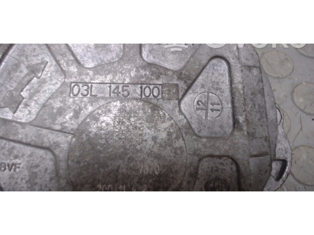 Вакуумный насос 03l145100F, 03L145100 Volkswagen Caddy