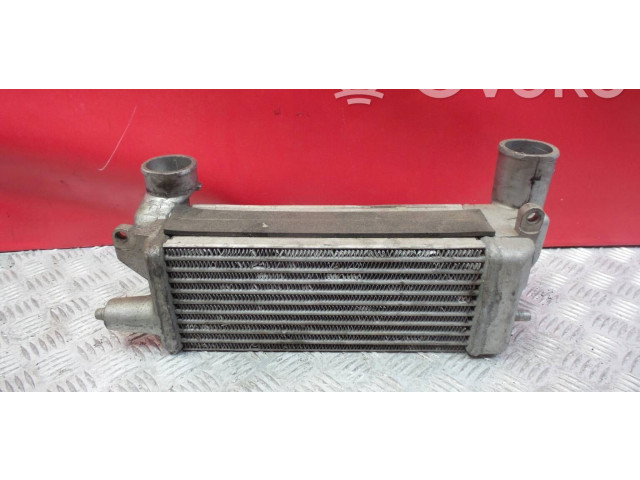 Интеркулер 20T2N, 229919 Rover 25