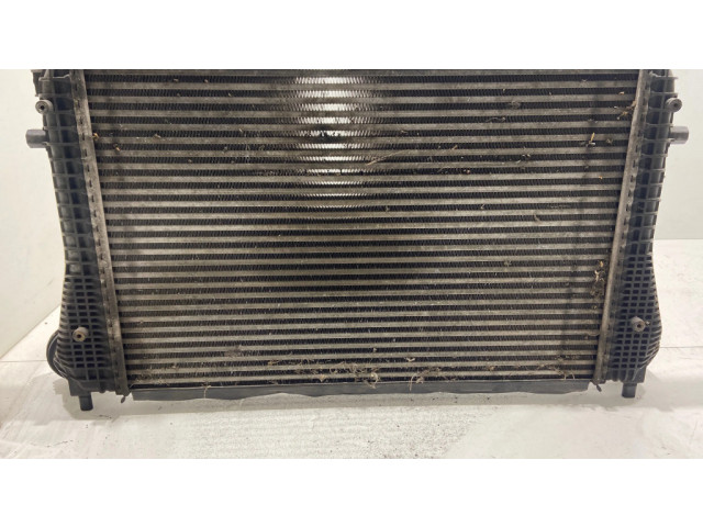 Интеркулер 1K0145803T, N6898002 Seat Altea 1.9