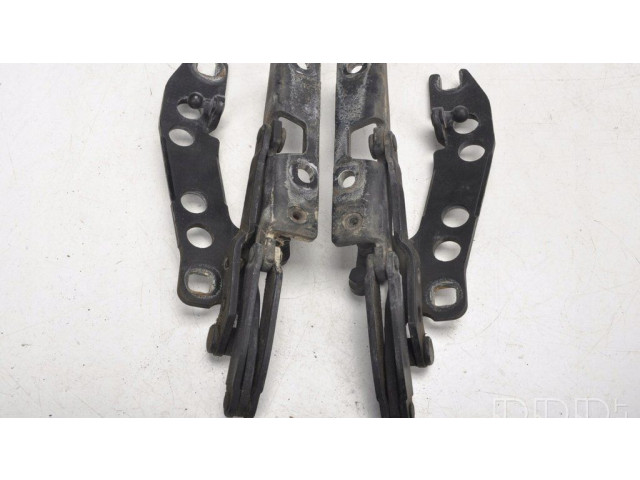 Петля (петли) капота двигателя