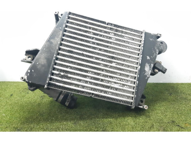 Интеркулер D1912A17 Nissan X-Trail T30