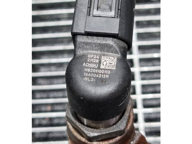 Жиклер (жиклеры) (форсунка (форсунки) H8201100113, 166006212R   Dacia Duster    