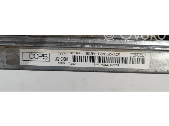 Блок управления двигателя 8C3A-12A650-ACF, VK2C3801   Ford F250