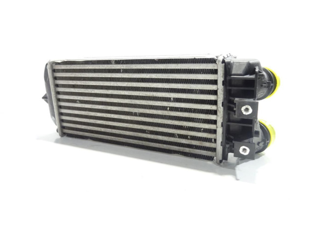 Радиатор интеркулера 9800291280 DS Automobiles 5