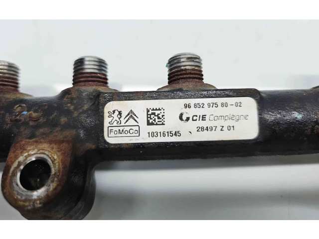 Vstřikovací lišta 9685297580-02 Ford Fiesta