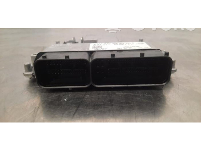 Блок управления двигателя 05C907394D   Skoda Fabia Mk4 (6VA)