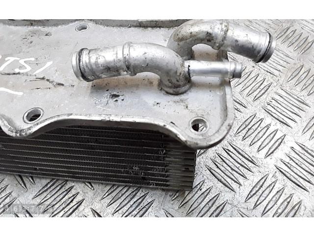 Интеркулер 04e145749f Skoda Fabia Mk3 (NJ)