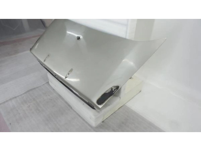 Задняя крышка (багажника)