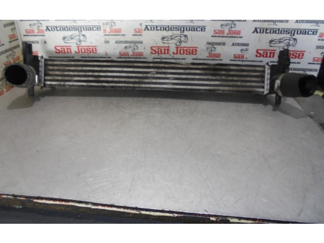 Интеркулер Skoda Rapid (NH)