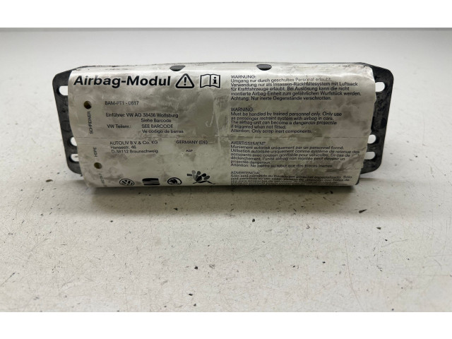 Подушка безопасности пассажира 1K0880204N, 1K0880204N   Skoda Octavia Mk2 (1Z)