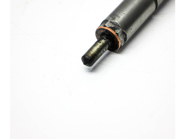 Форсунка 166000372R    Volvo C30  D 4204 T 