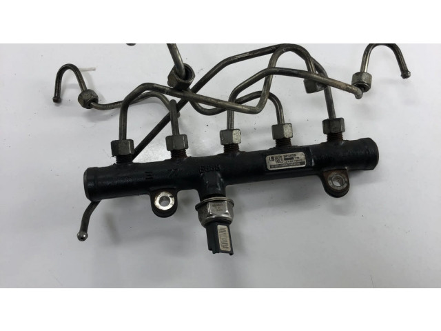 Топливная рампа 9681649580, 9658227880 Citroen C4 Grand Picasso 2.0