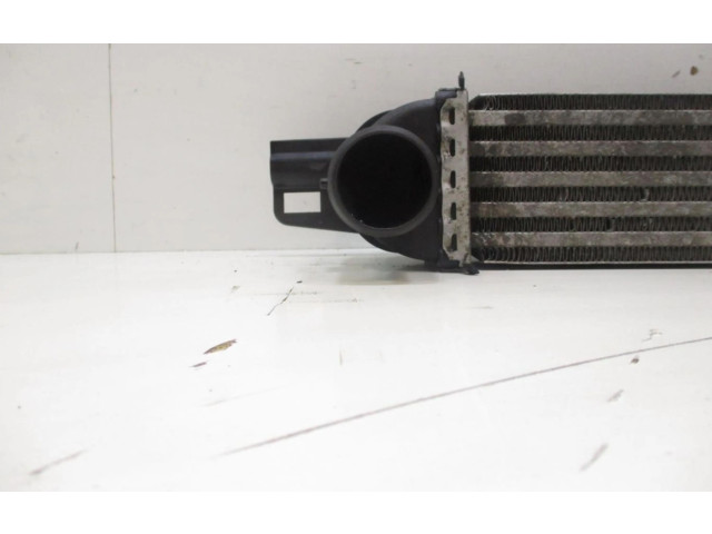 Интеркулер 51790623 Citroen C5