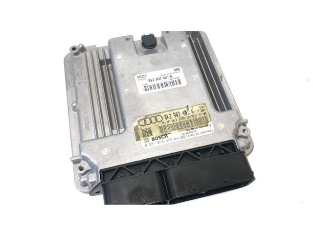 Řídící jednotka 8K2907401A, 0281016452 Audi A4 S4 B8 8K 2009
