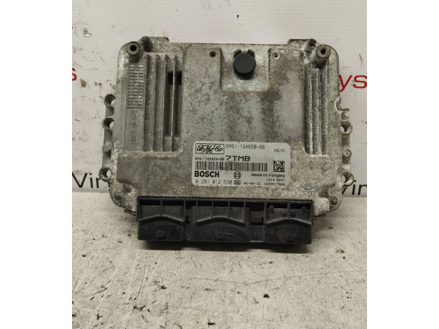 Řídící jednotka 6M6112A650BB, 0281012530 Mazda 3 I 2007