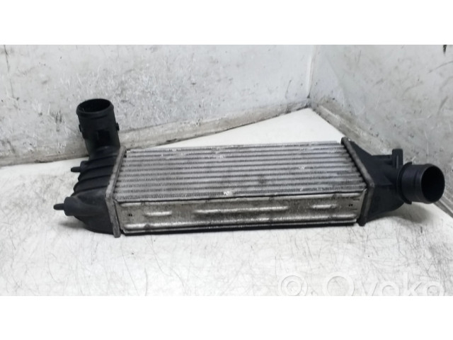 Интеркулер 870229HF, 1489396080 Citroen C8 2.0