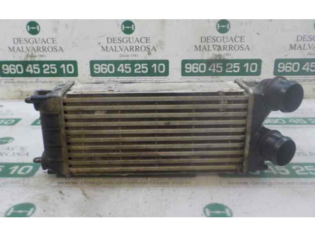 Интеркулер     Peugeot Partner 