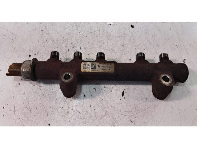 Vstřikovací lišta Citroen Berlingo