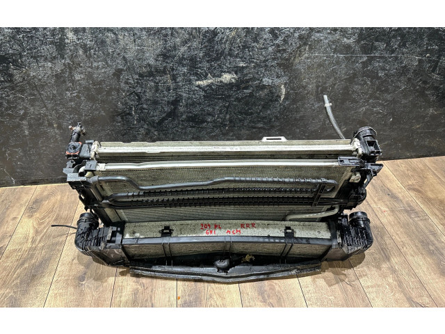 Pojistková skříňka Комплект радиатора 67167, 048222 Mercedes-Benz C W204 2012