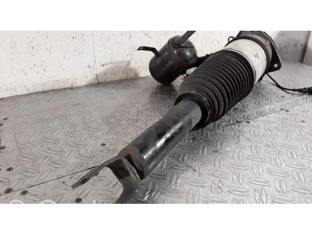 Задний aмортизатор      