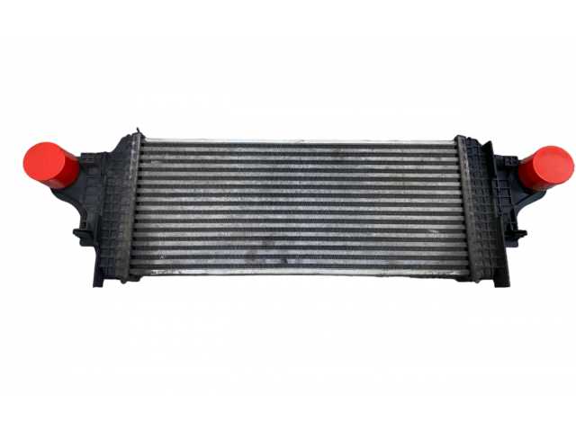 Интеркулер  A2515000000, A1645001900   Mercedes-Benz R W251 